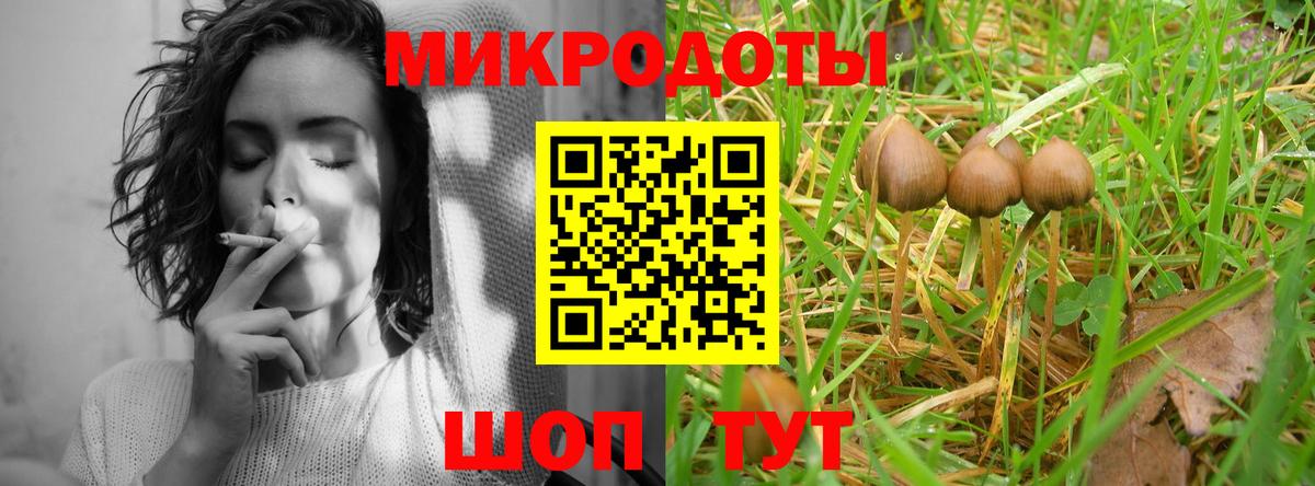 Кизляр  Псилоцибиновые грибы MAGIC MUSHROOMS  Галлюциногенные грибы Psilocybine cubensis  Вход с VPN 